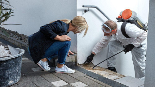 End of Lease Pest Control Melbourne.jpg