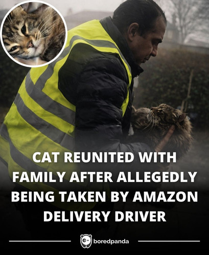CAT REUNITED WITH FAMILY AFTER ALLEGEDLY BEING TAKEN BY AMAZON DELIVERY DRIVER.jpg