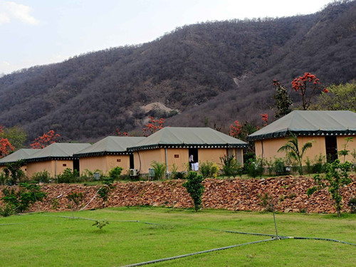 Resorts In Sariska Rajasthan - Chokhiwadi.jpg