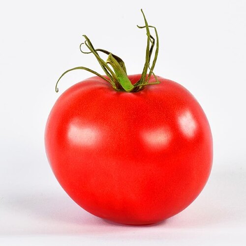 Tomato vegetable2.jpg
