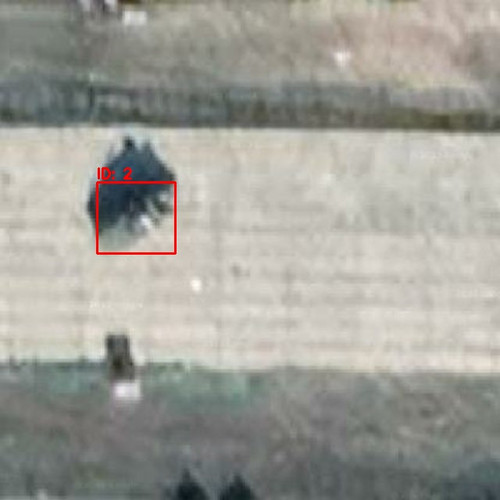 RURU010215 annotated.jpg