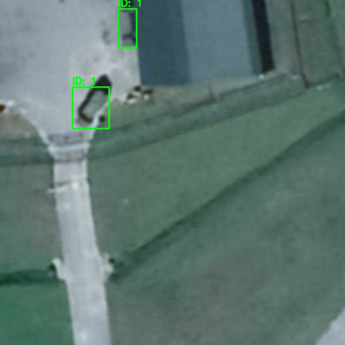 RURU010254 annotated.jpg