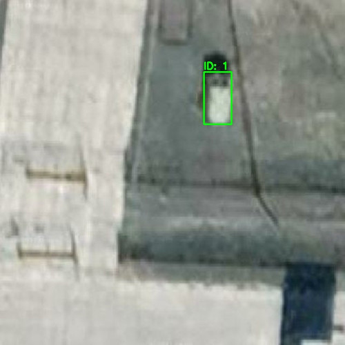 RURU010217 annotated.jpg