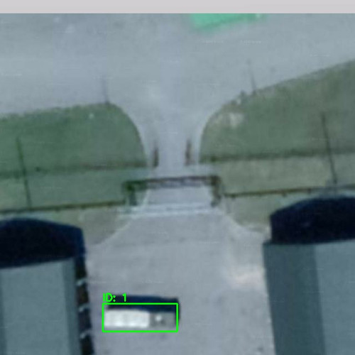 RURU010253 annotated.jpg