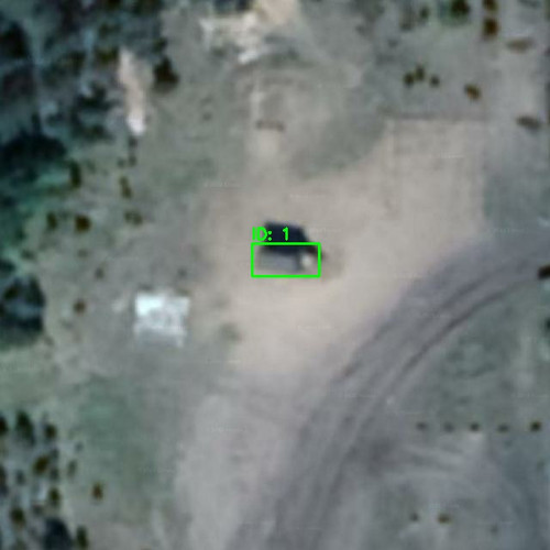 RURU010273 annotated.jpg