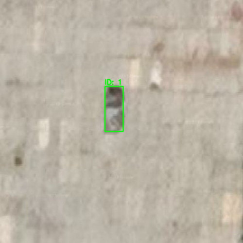 RURU020052 annotated.jpg