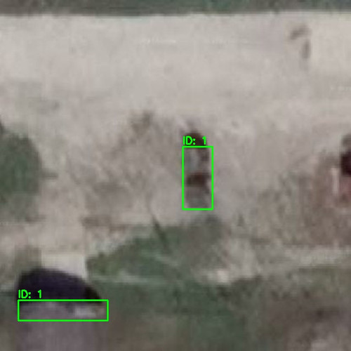 RURU020056 annotated.jpg