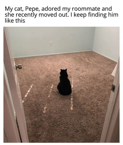 647756050 772630682580986 2701907887661596102 n.jpg