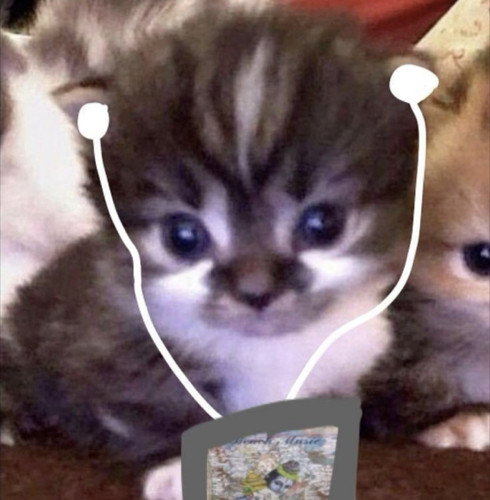 1000108453.jpg