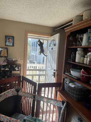 650181269 10241293200528052 804629930942795150 n.jpg