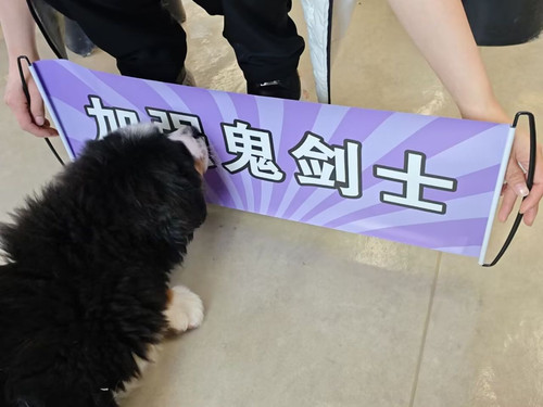 Image 1773044360168 240.jpg