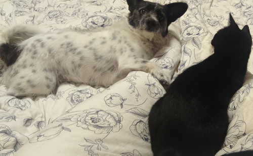 IMG 20260309 161754.jpg