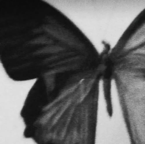 Screenshot 20260309 161741 com.ss.android.ugc.aweme edit 1132802689652866.jpg