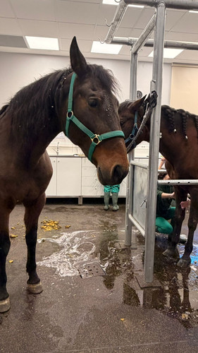 IMG 20260309 WA0002.jpg