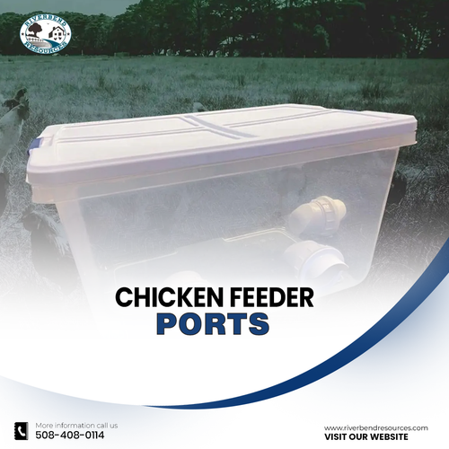 Chicken Feeder Ports ,.png
