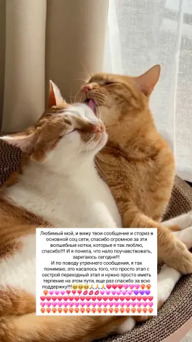 IMG 20260309 130455 214.webp