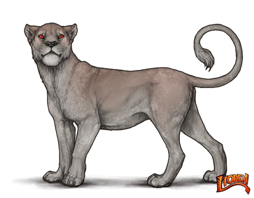 lioden wardrobe (8).png