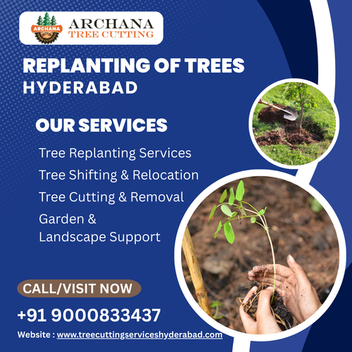 replanting of trees hyderabad.png