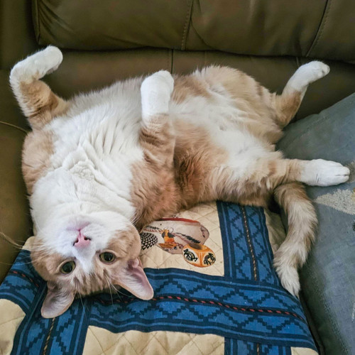 646844285 1480228430329560 2214691937728012828 n.jpg