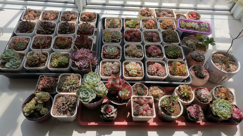 微信图片 20260309173135 41 114.png