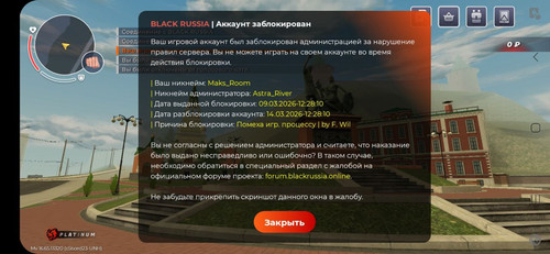 IMG 20260309 212938 984.jpg