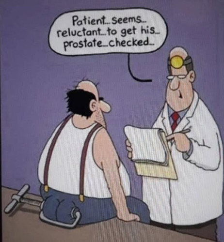 prostate
