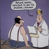 prostate