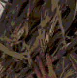 ​让它孵！​让它孵！.gif
