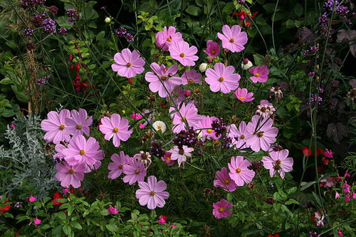 I took this picture while walking around London..jpg