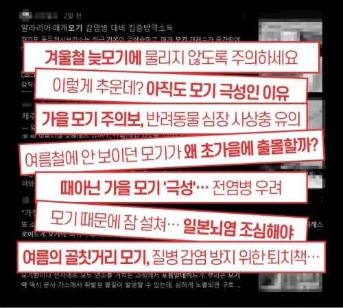 01 ia ib100 12.webp