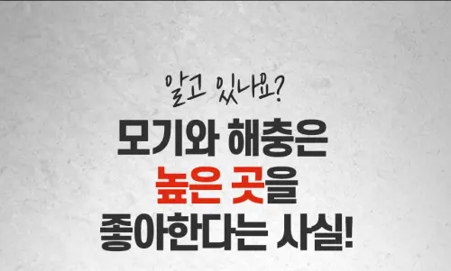 01 ia ib100 28.webp