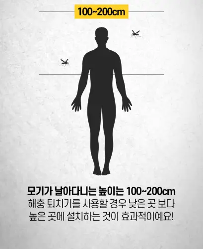 01 ia ib100 29.webp
