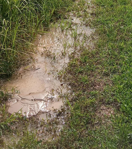 WhatsApp Image 2026 03 09 at 7.13.18 PM.jpg