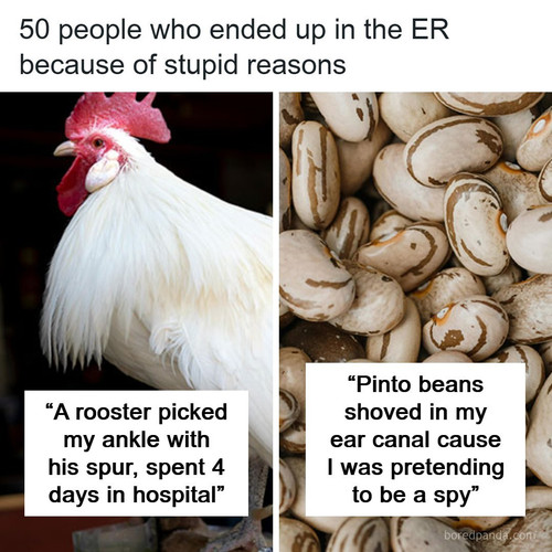 fails funny other.jpg