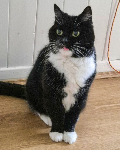 646890296 1480741033611633 8940343399571751020 n.jpg