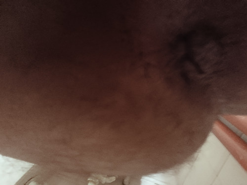 IMG 20260309 113623857.jpg