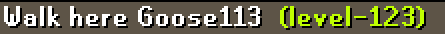 RuneLite ZWwJkscnmm.png