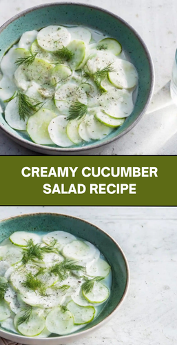 54b236b5 73db 43d6 95d0 88e0df51ea56.png