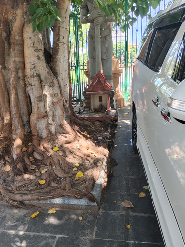 IMG 20251020 120245.jpg