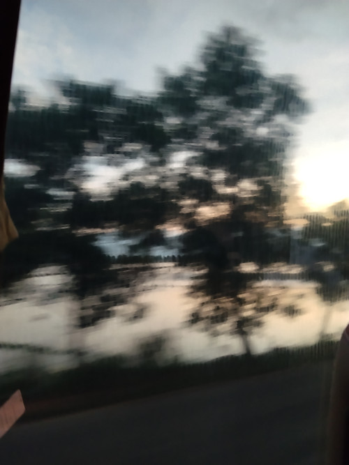 IMG 20251020 173233.jpg