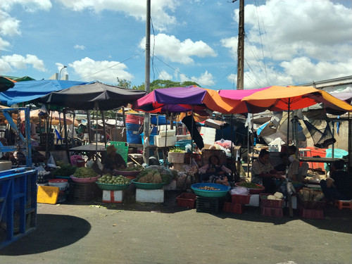 IMG 20251020 131400.jpg