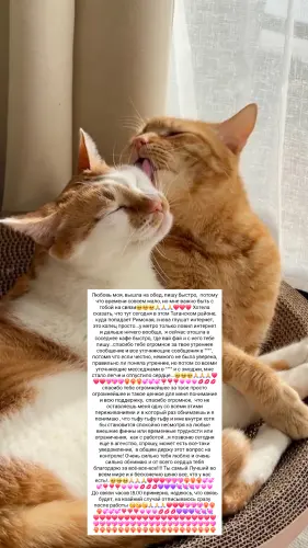 IMG 20260309 125443 960.webp