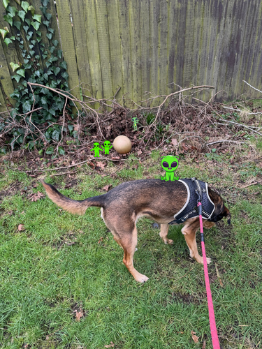 Untitled design Copy.png