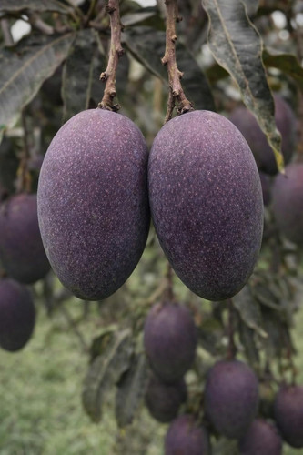 61bD4ETqLJL. SL1500 .jpg