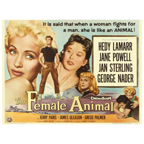 Untitled design (52).jpg