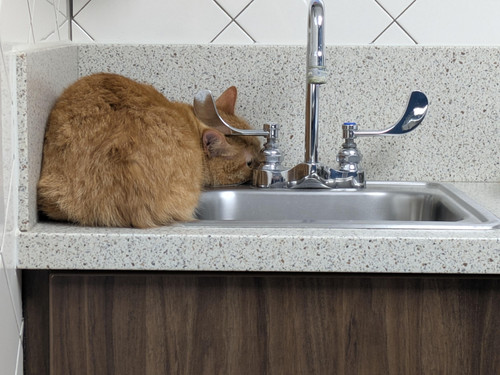 648848129 122279746460185018 109647477239300139 n.jpg