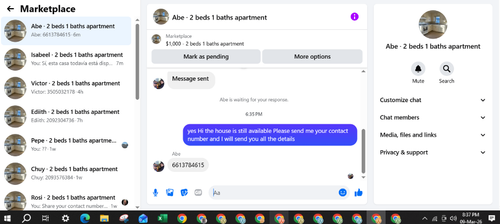 29.png