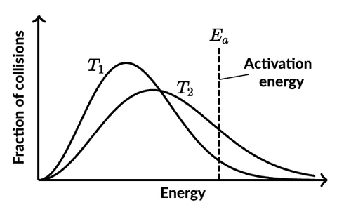 Screenshot 2026 03 09 at 11.16.50 AM.png