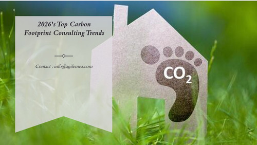 Carbon footprint.jpg