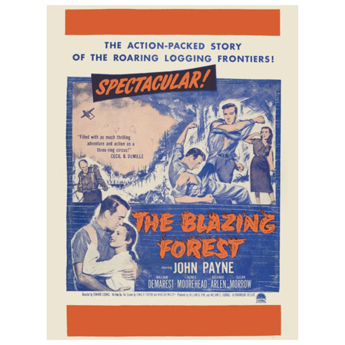 Untitled design (62).jpg